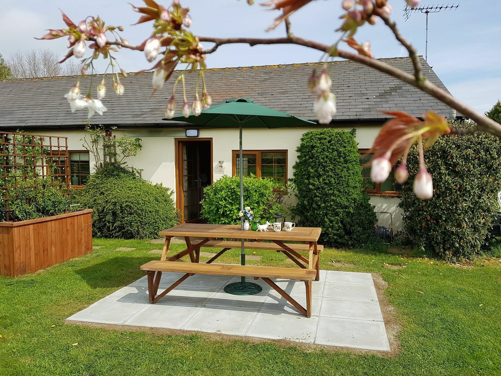 Hawthorn Farm Cottages Canterbury Eksteriør billede